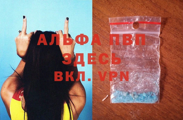 ГАЛЛЮЦИНОГЕННЫЕ ГРИБЫ Медвежьегорск