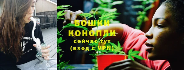 ГАЛЛЮЦИНОГЕННЫЕ ГРИБЫ Медвежьегорск
