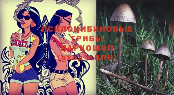 стафф Магадан