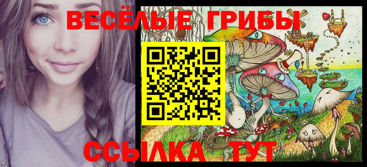Галлюциногенные грибы Psilocybine cubensis Сосновоборск