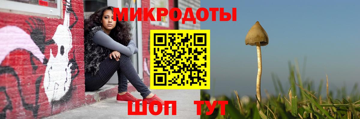Галлюциногенные грибы GOLDEN TEACHER  Псилоцибиновые грибы мухоморы  Вход с VPN  Сосновоборск 